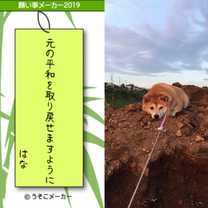 1f8d6954 b6b6 47a6 a0d4 20fc46f1b736 1562503628893