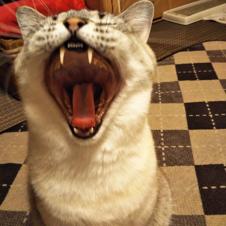 1f8d79bb fa7f 4140 adec 1c44c8016905 1576502705864