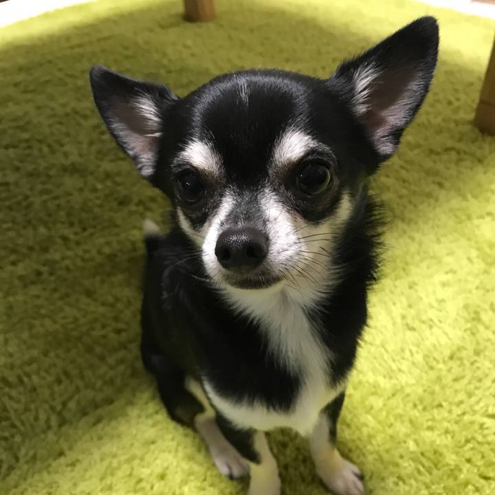 1f8db617 1719 4ec7 b3f7 2abffb6b887f 1509179442936