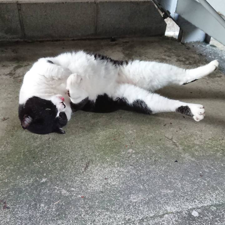 1f8dbd6e 002e 4ce8 aae0 17ef732cc11c 1602575378373