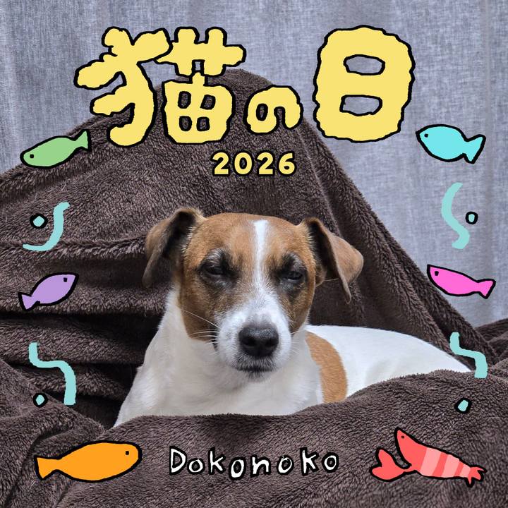 1f8ddf32 8dca 4be7 a9b3 939a43067dae 1771750965789