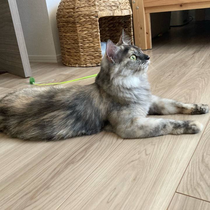 1f8df773 e094 4179 8d29 621b5f678d5f 1716602530460