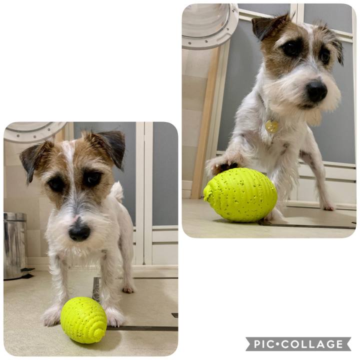 1f8e092d 6436 4c22 a2f3 1580ee5c5123 1605567708805