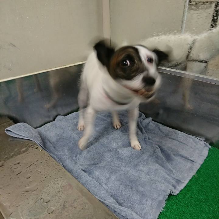 1f8e9b87 5eb4 4ce7 bd72 2b9f85e7050e 1518331760655