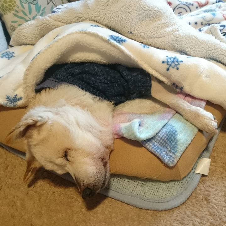 1f8ea816 3fe7 4da2 a38a 8c1b43bf0134 1545868814658