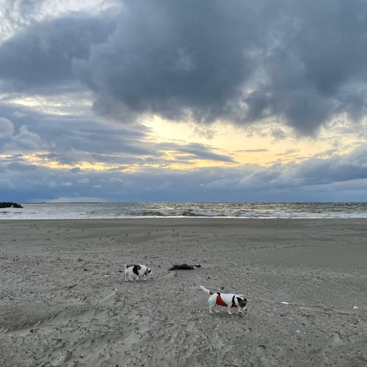 1f8ec83e 17da 43fa 8a11 2785aeda35de 1733300140731