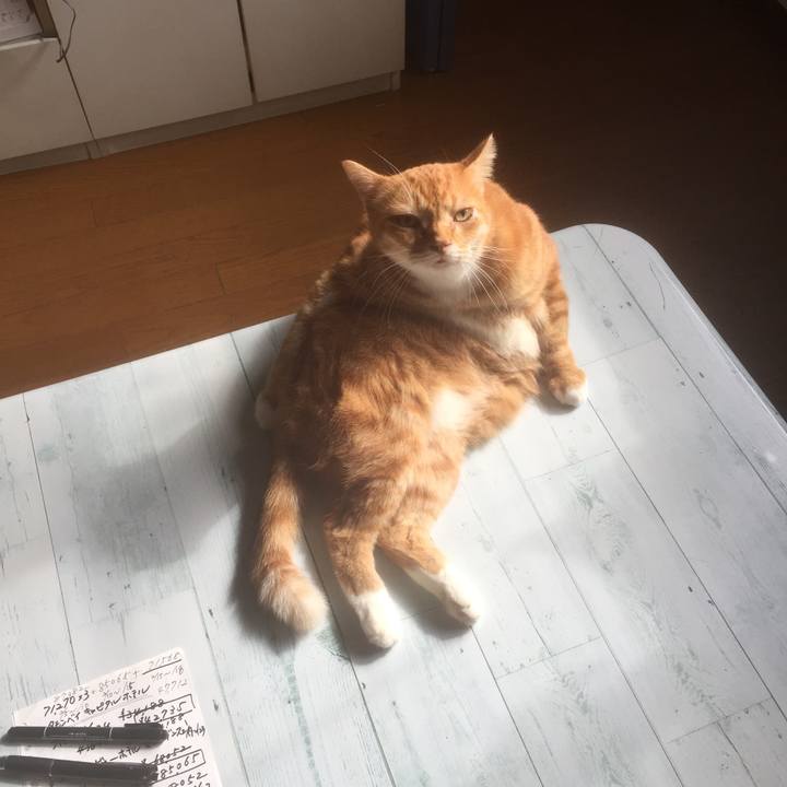 1f8f1e65 6bc9 4b71 ada9 5141d0aac6ef 1572745168229