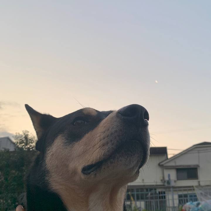 1f8f3840 8f18 4fa0 9659 525e185dc499 1579560684963