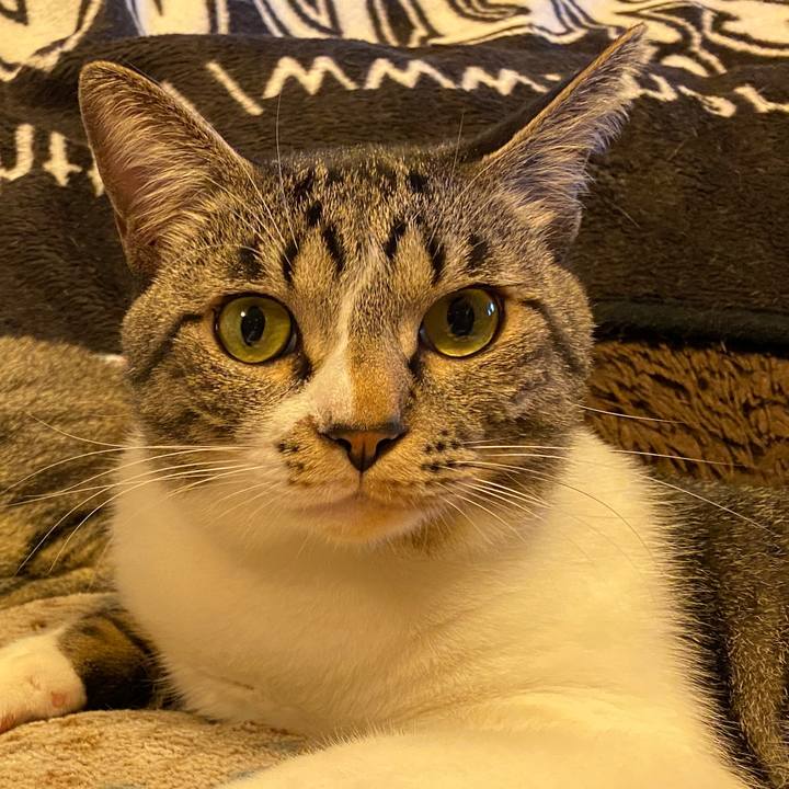 1f8f3ff2 aa2d 488b a91c 04527d343473 1697209556894