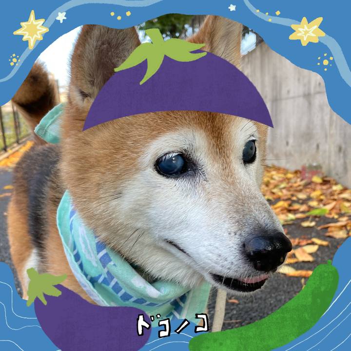 1f8f59f9 6b39 46ef 8c6e f4aec0a44b9f 1755433363555