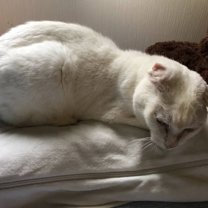 1f8fdfbd 18cd 4d3a a098 e49054d8f264 1563593646741