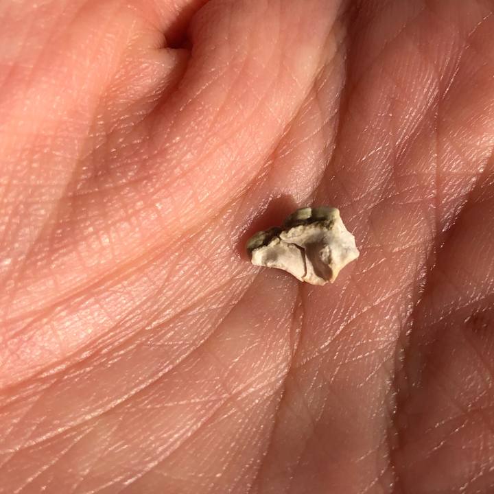 1f8ffff7 f269 4080 bb3d 7723bc038773 1604360834997