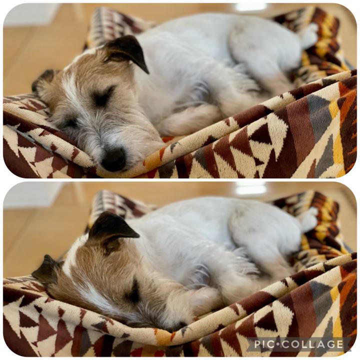 1f904f73 07ce 4a00 9482 11bfed9923c9 1678697161936