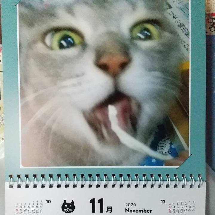 1f907304 4ef6 4527 9bd7 414f462e4519 1604186827862