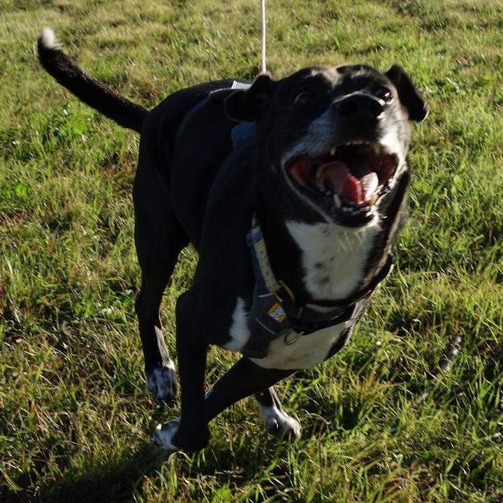 1f90da6c a447 43af b9fa 30d0052a4f1d 1731977786468