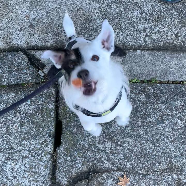 1f90f3ba 619d 4d59 a30f e304146d37e1 1702427028274