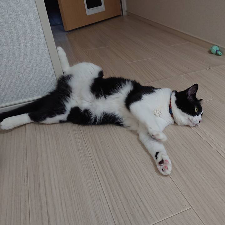 1f90f7b8 f55a 49ed b38d 76b6aae717d6 1561166930691