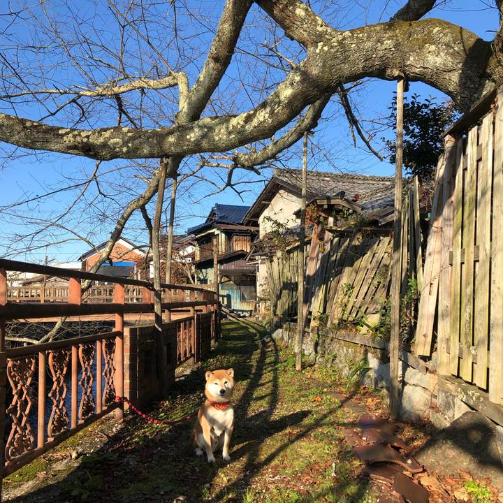 1f910a5c 9b78 4dce bacc 01ab1e879e89 1543141741759