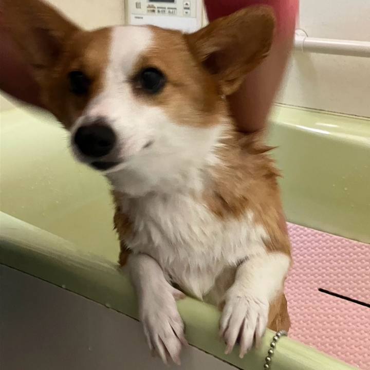 1f910c9a 9b67 43f5 a7f6 4c8f621442f7 1762182363100