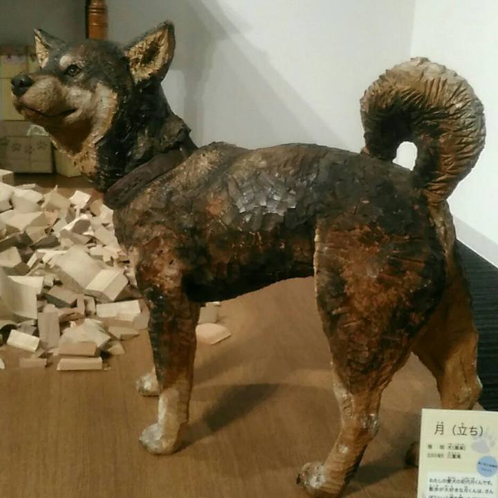 1f9117a9 8e03 4e64 bab6 a911e8aacae8 1531658695490