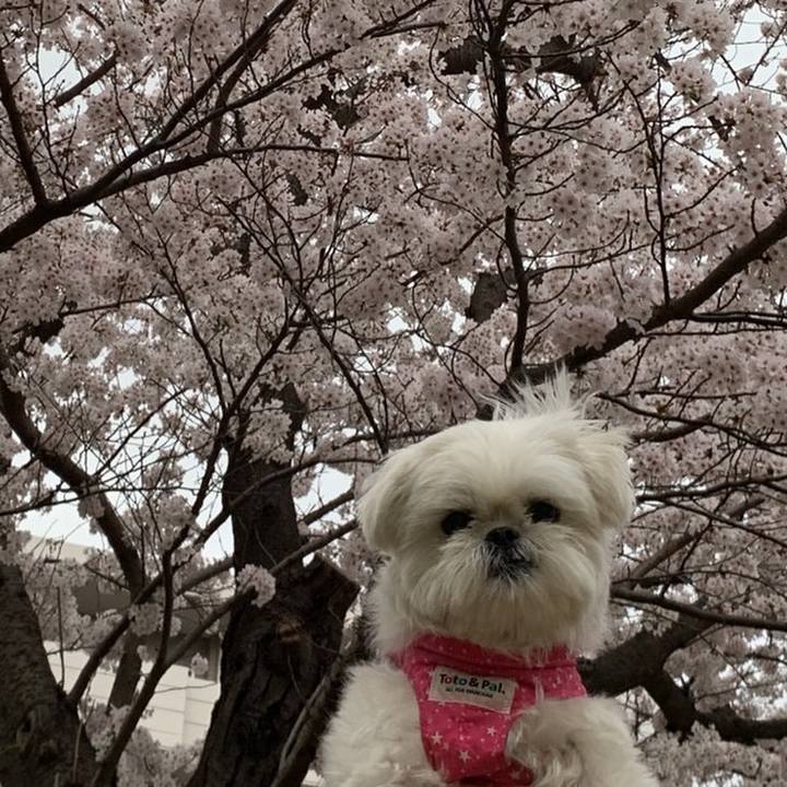 1f9134c7 b118 42db aa31 941717e51715 1648880479351