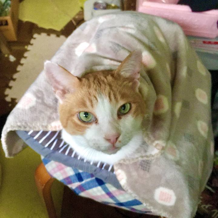 1f917030 0c4b 44c7 aab2 7d153c2c8274 1603229500801