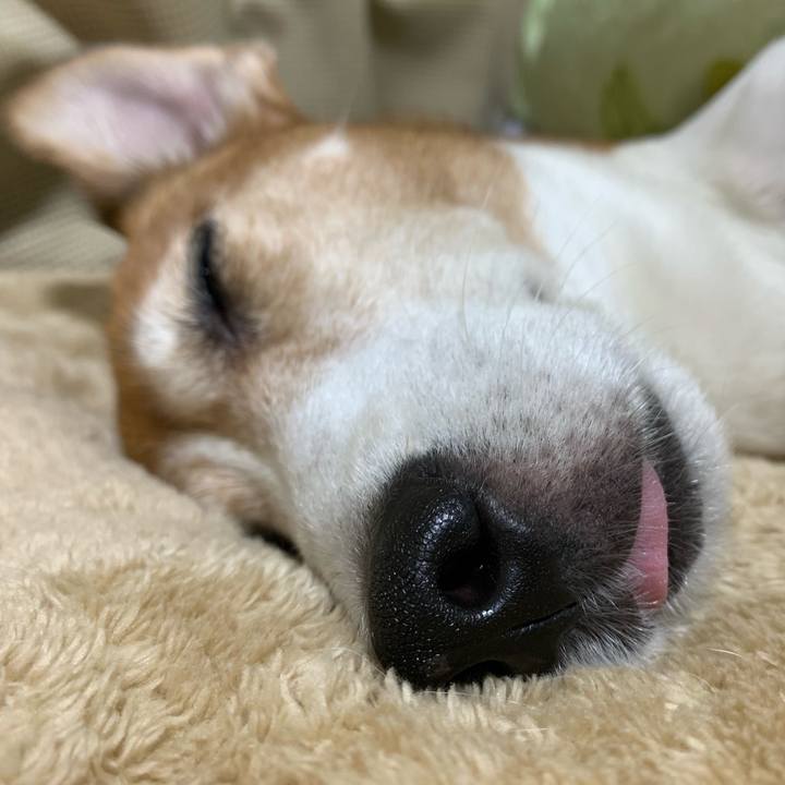 1f918988 3f66 473a bcf9 8c6656107414 1542029206522