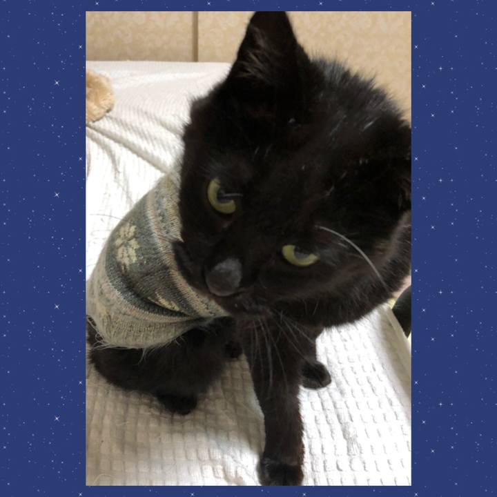 1f91a0d7 859c 4ae9 83bc e877cde5a776 1635335976501