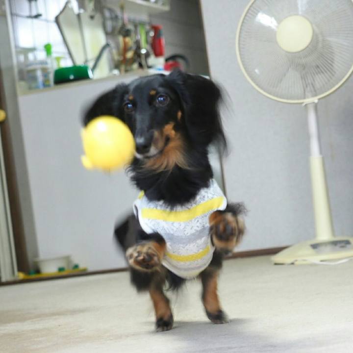 1f91b09d a4c8 4cf2 8d54 faff6f2624ad 1566952932145