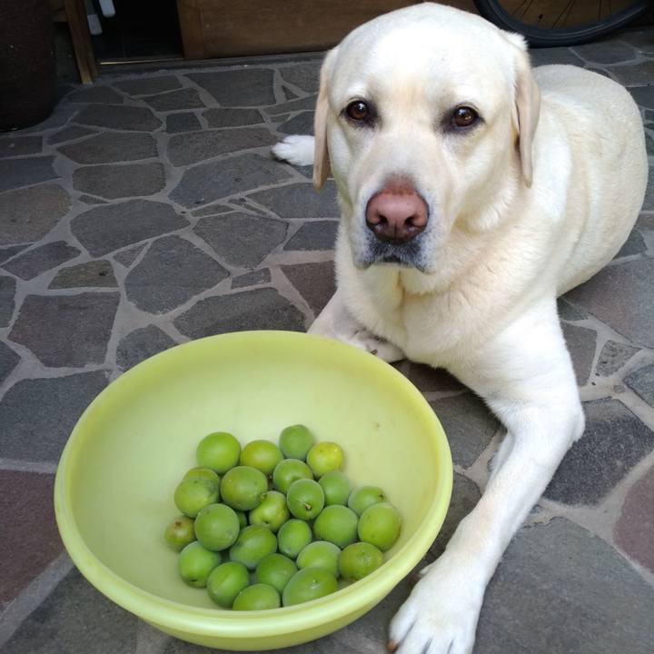 1f91d640 11c5 4e52 95d2 e27459d03fd3 1591509856686