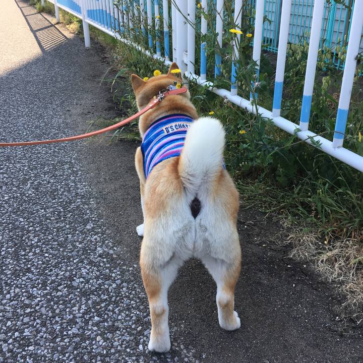 1f91d6fa 6338 42a3 a275 ff7baef7951d 1557445463444