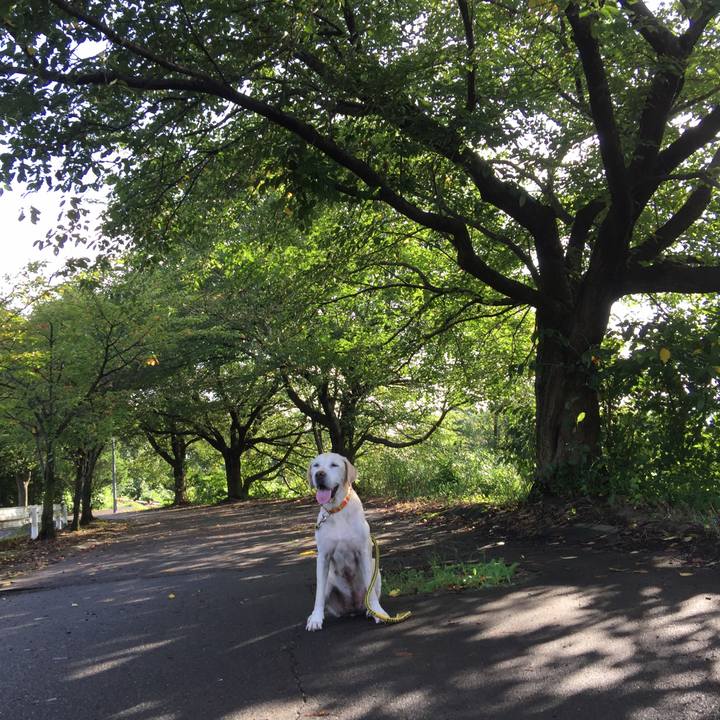 1f91e02b b661 4484 a35b af83d7b40038 1565057098127