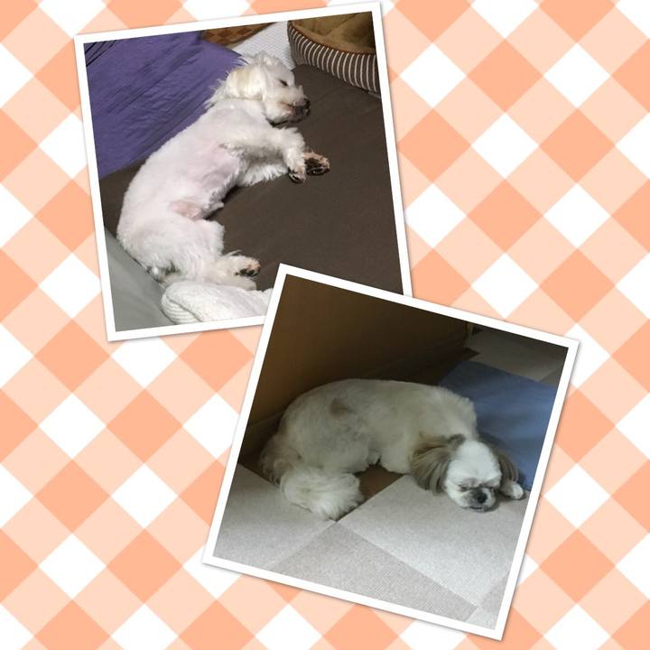 1f9253c0 ec2a 4956 a7e4 21c7d7e98512 1532519318383