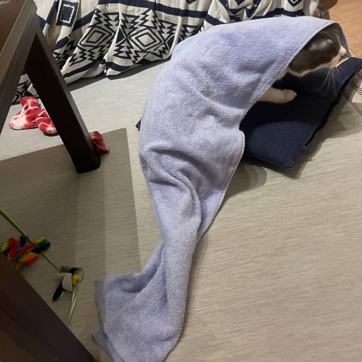 1f927427 3881 4eff b1bb 17a88b1ffe54 1755522860657