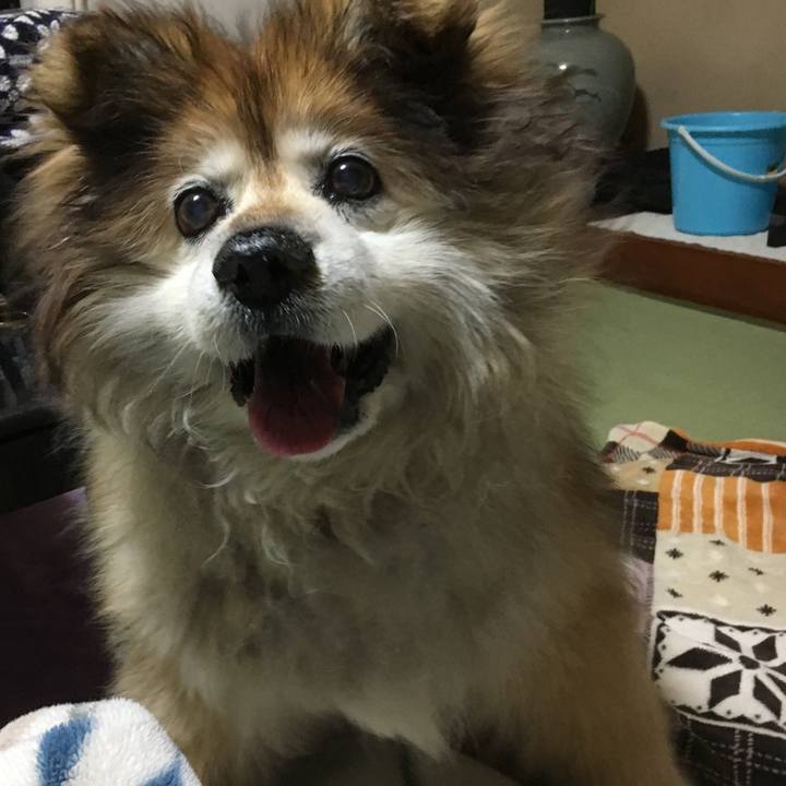 1f92968d 5bea 4a65 8cbf 89c9edd55f04 1590564098112