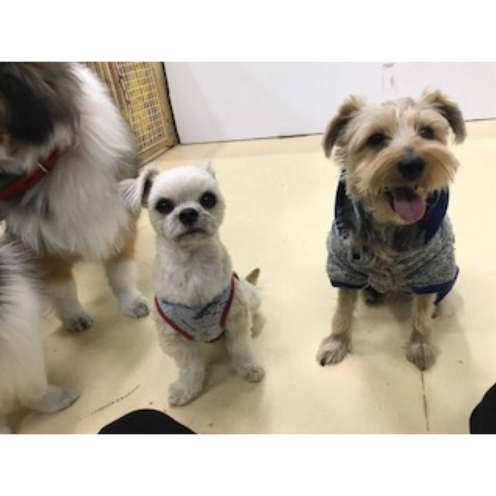 1f92dd83 4b4f 4419 bf3c 3295c26e13be 1550571789499