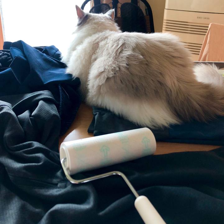 1f92f4ee 11f1 406a 9f52 e038ff60a697 1581483484578