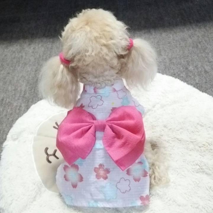 1f9307ff 2569 4cd9 aec2 f9f1dbc8d53a 1528776716257