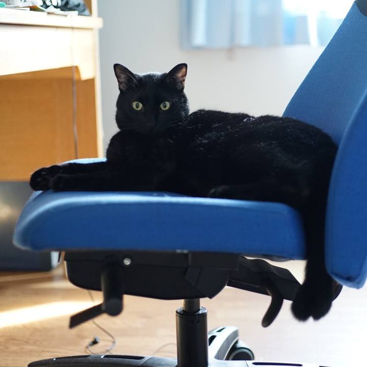 1f93191c 5084 4d67 a865 240654553169 1531785251712