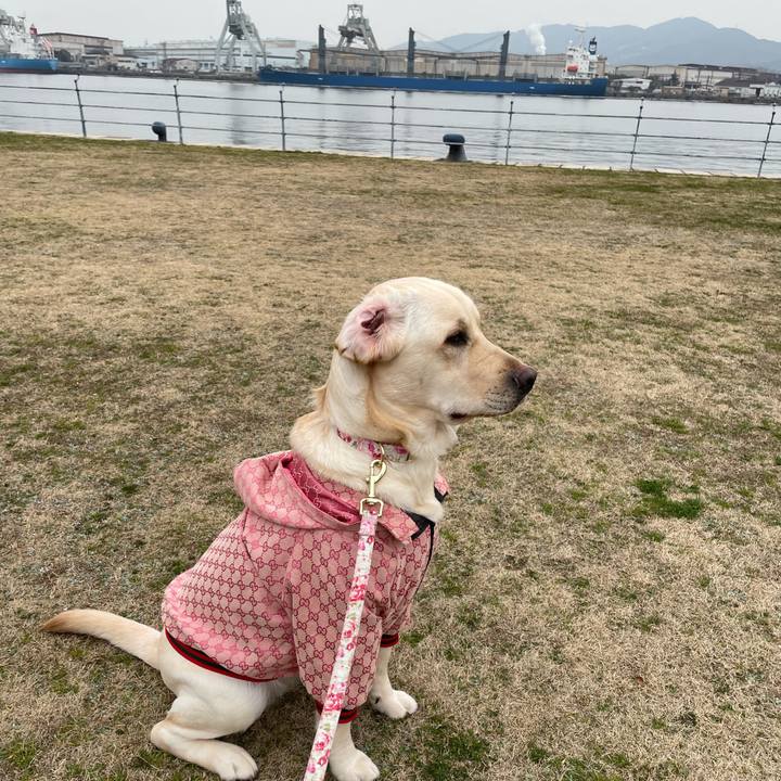 1f931e0b e972 45cb a917 c62fcc17c02a 1646380865274