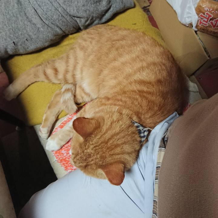 1f9352d4 a010 4475 91de 58d98f6ffc8a 1572136122050