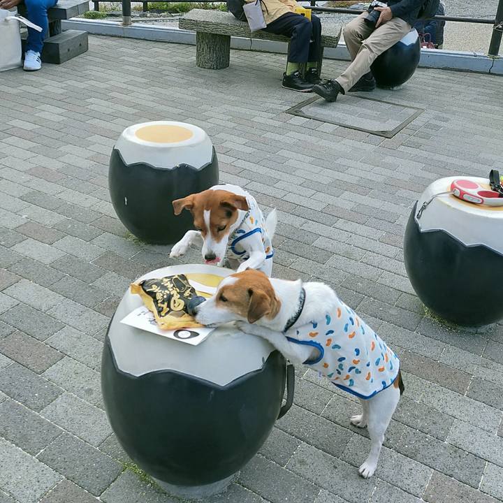 1f9391e5 2fbd 4e26 88e5 30743a6c7acd 1761811625521