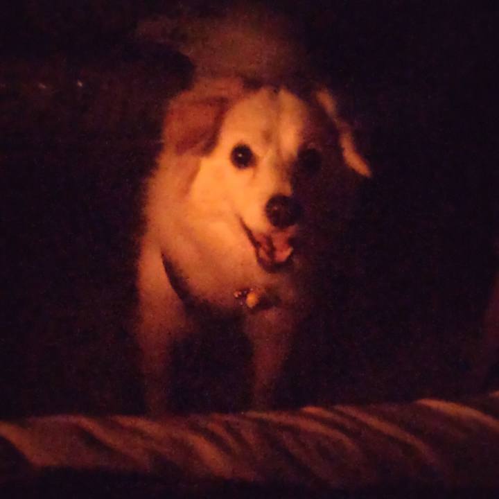 1f94077b d70e 4da2 b667 9247e6f57b9d 1645036616718