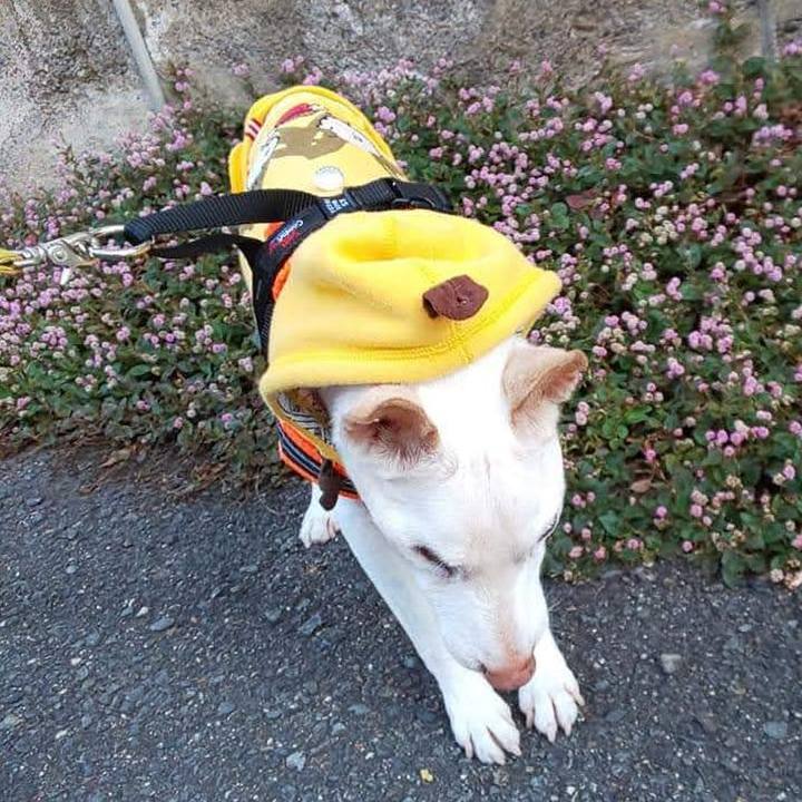 1f9425d8 7090 4b5c 8db3 b0074c735e23 1747317608478