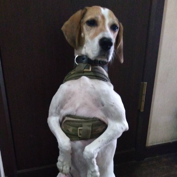 1f946b2c 9760 4887 8bd3 a93f2a0803fe 1696330059013