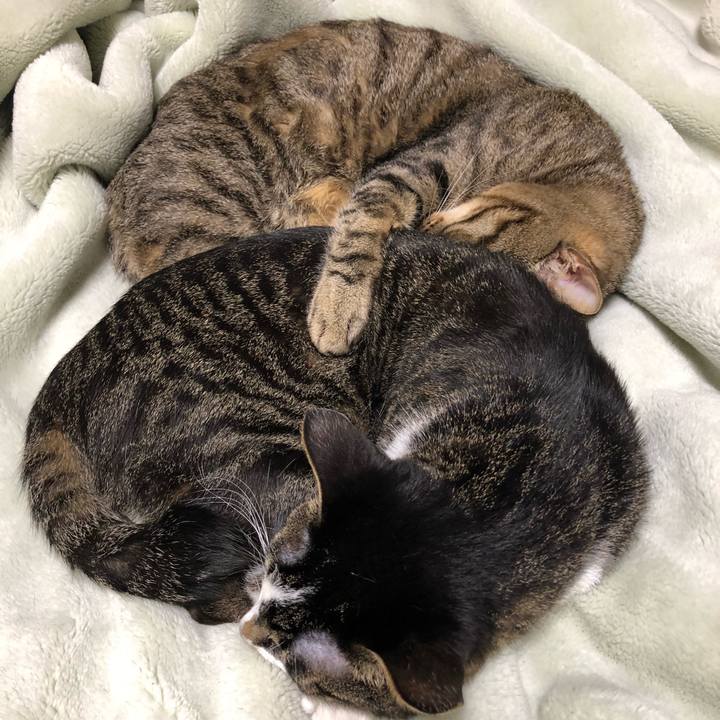 1f9482d4 647f 4575 9408 7d37bcd2a7b6 1525791021572