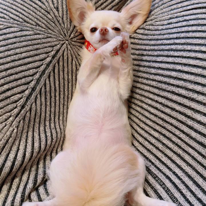 1f948bc3 5297 42f3 a0ed 515fba1e1e98 1759145128908