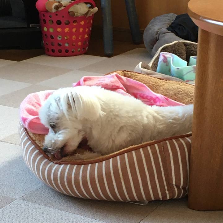 1f9492f3 5cbb 4a89 bbe4 f44b39eff124 1618815649890