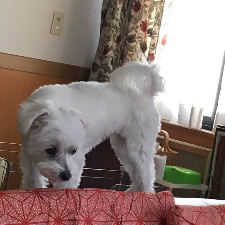 1f949323 6988 4914 b93a 55d65bc9f4b5 1549321623826