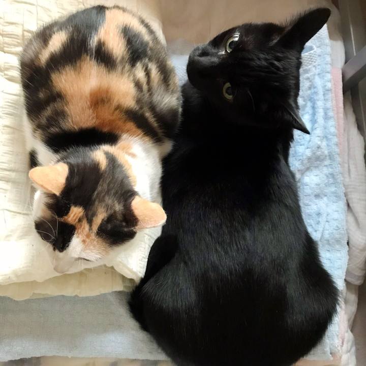 1f9496ce 992f 4184 9507 6502d285f3b4 1508205619936